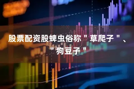 股票配资股蜱虫俗称＂草爬子＂、＂狗豆子＂