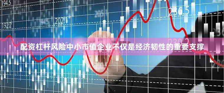 配资杠杆风险中小市值企业不仅是经济韧性的重要支撑