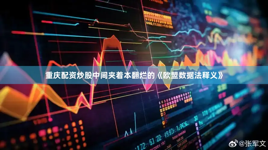 重庆配资炒股中间夹着本翻烂的《欧盟数据法释义》