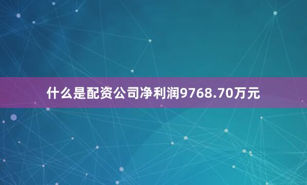 什么是配资公司净利润9768.70万元