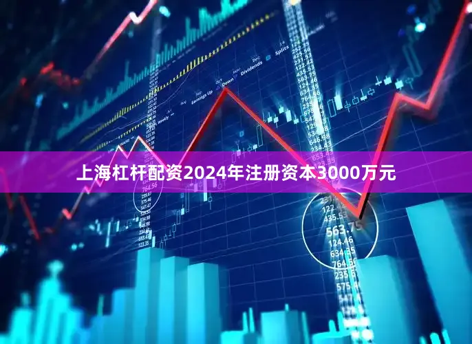 上海杠杆配资2024年注册资本3000万元